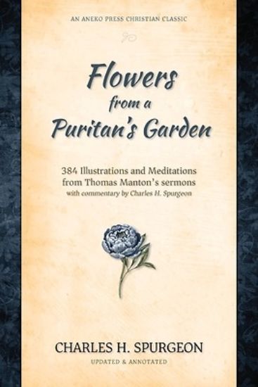 Picture of Flowers from a Puritan's Garden