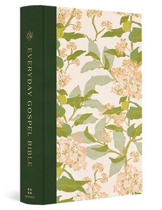 Picture of ESV Everyday Gospel Bible, Artist Series