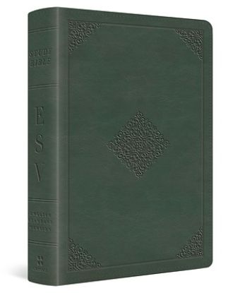 Picture of ESV Study Bible, Personal Size (Trutone, Quiet Forest, Ornament Design)