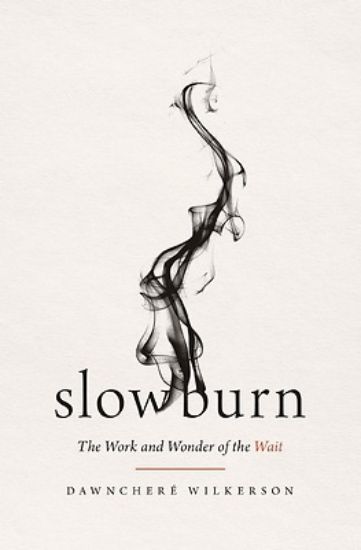 Picture of Slow Burn