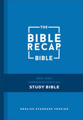 Picture of The Bible Recap 365-Day Chronological Study Bible