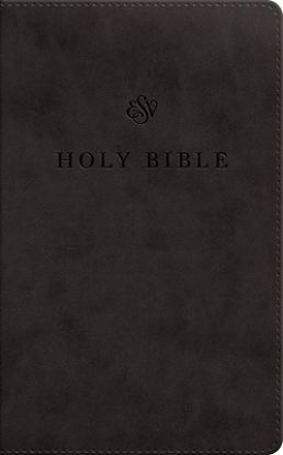 Picture of ESV Premium Church Bible, Large Print (Trutone, Black)