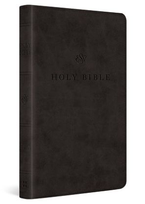 Picture of ESV Premium Church Bible, Large Print, Red Letter (Trutone, Black)