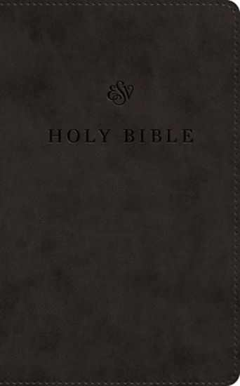 Picture of ESV Premium Church Bible, Large Print, Red Letter (Trutone, Black)