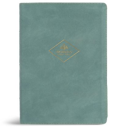 Picture of CSB Women's Study Bible, Earthen Teal Suedesoft Leathertouch