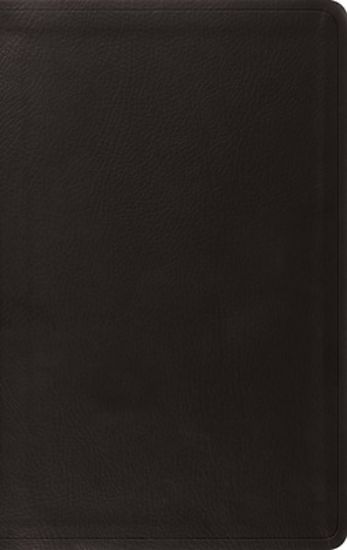 Picture of ESV Value Thinline Bible, Red Letter (Trutone, Black)