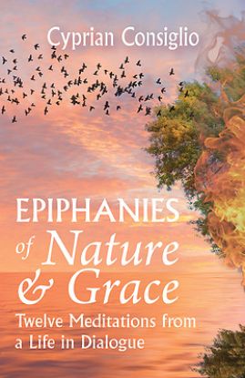 Picture of Epiphanies of Nature and Grace