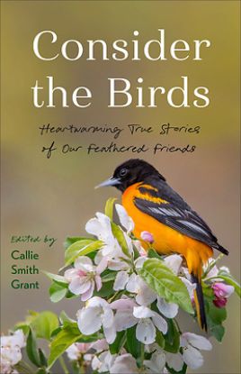 Picture of Consider the Birds