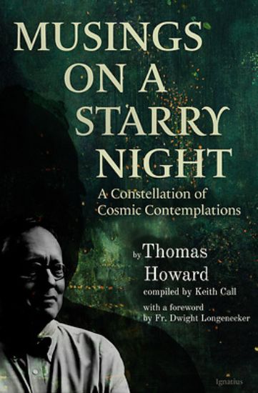 Picture of Musings on a Starry Night