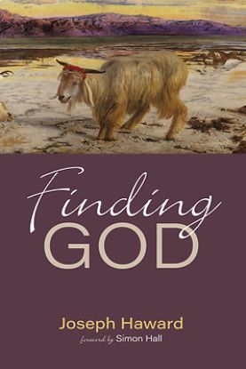 Picture of Finding God