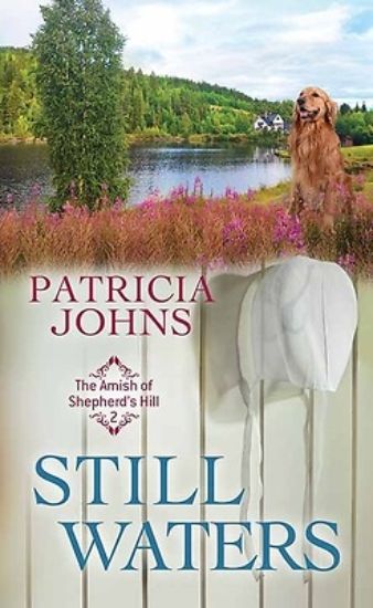 Picture of Still Waters