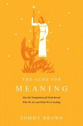 Picture of The Ache for Meaning - eBook [ePub]