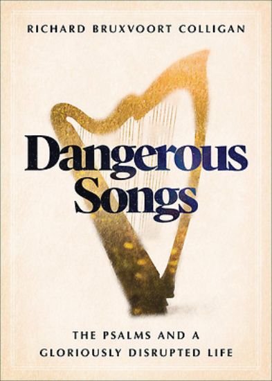 Picture of Dangerous Songs
