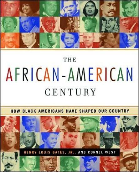 Picture of The African-American Century