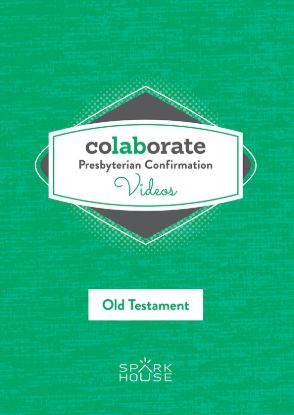 Picture of Colaborate: Presbyterian Confirmation OT DVD