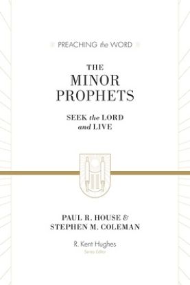 Picture of The Minor Prophets