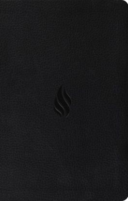 Picture of ESV Premium Gift Bible, Red Letter (Trutone, Midnight, Flame Design)