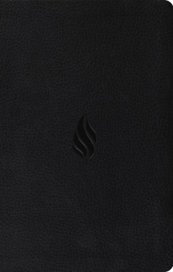 Picture of ESV Premium Gift Bible, Red Letter (Trutone, Midnight, Flame Design)