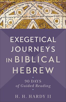 Picture of Exegetical Journeys in Biblical Hebrew
