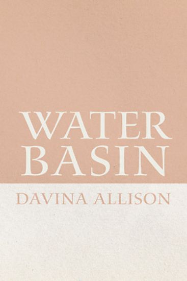 Picture of Water Basin