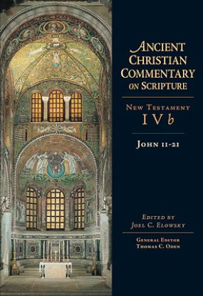 Picture of John 11-21