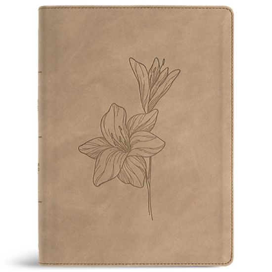 Picture of CSB Verse-By-Verse Reference Bible, Digital Study Edition, Earth Suedesoft Leathertouch