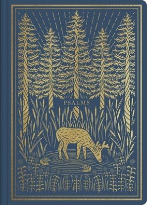 Picture of ESV Illuminated Scripture Journal