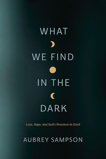 Picture of What We Find in the Dark
