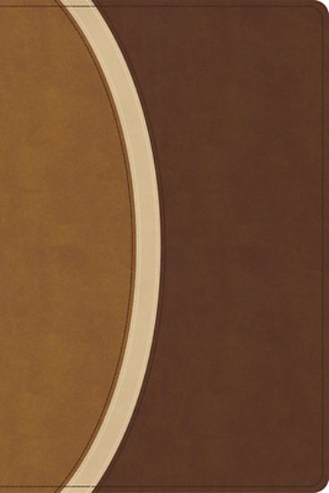 Picture of CSB Rainbow Study Bible, Brown Leathertouch (Limited Edition)