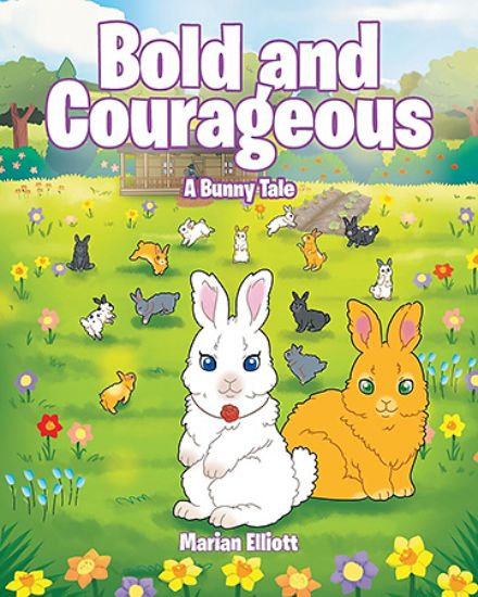 Picture of Bold and Courageous