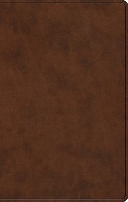 Picture of ESV Premium Gift Bible, Red Letter (Trutone, Brown)