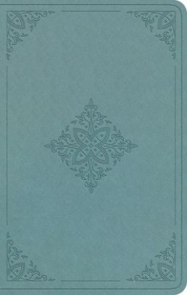 Picture of ESV Premium Gift Bible (Trutone, Paris Sky, Fleur-De-Lis Design)