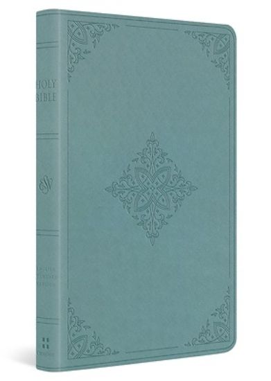 Picture of ESV Premium Gift Bible (Trutone, Paris Sky, Fleur-De-Lis Design)