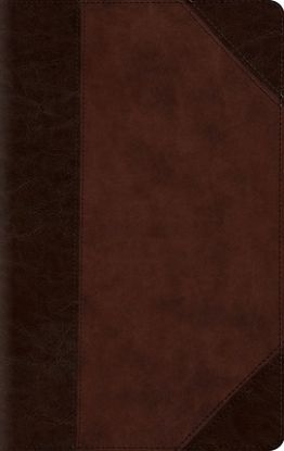 Picture of ESV Large Print Compact Bible, Red Letter (Trutone, Brown/Walnut, Portfolio Design)