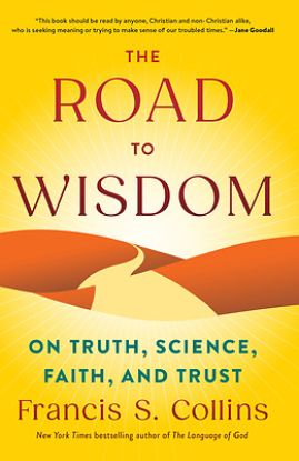 Picture of The Road to Wisdom