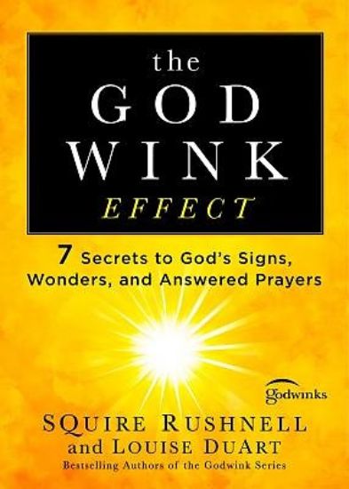 Picture of The Godwink Effect