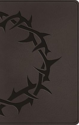 Picture of ESV Premium Gift Bible (Trutone, Charcoal, Crown Design)