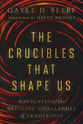 Picture of The Crucibles That Shape Us