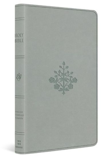 Picture of ESV Large Print Value Thinline Bible (Trutone, River Stone, Branch Design)