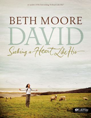 Picture of David - Bible Study Book