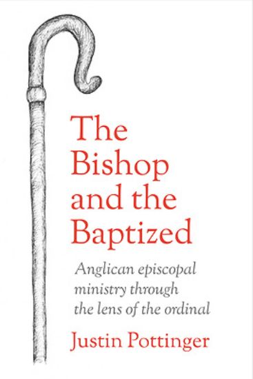 Picture of The Bishop and the Baptized