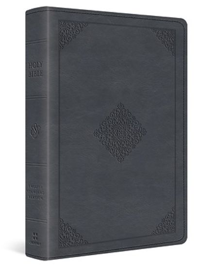 Picture of ESV Large Print Wide Margin Bible (Trutone, Slate Blue, Ornament Design)