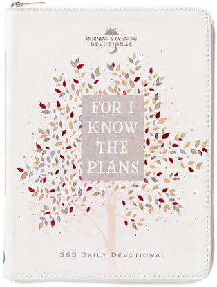 Picture of For I Know the Plans