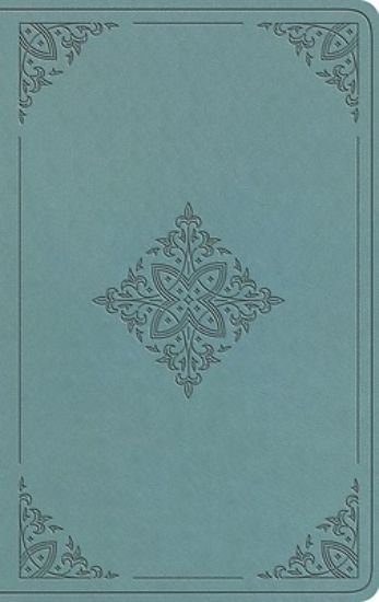 Picture of ESV Value Thinline Bible (Trutone, Paris Sky, Fleur-De-Lis Design)