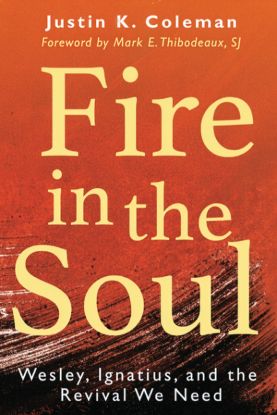 Picture of Fire in the Soul