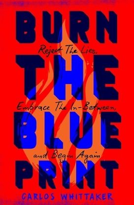 Picture of Burn the Blueprint