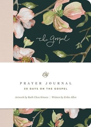 Picture of ESV Prayer Journal