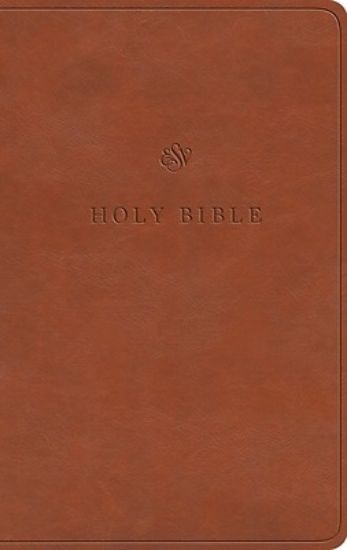 Picture of ESV Value Thinline Bible (Trutone, English Saddle)