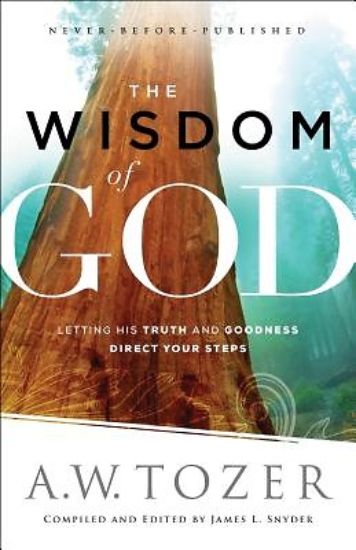 Picture of The Wisdom of God