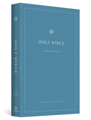 Picture of ESV Economy Bible, Large Print (Paperback)